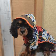 Фото отзыва 10516108