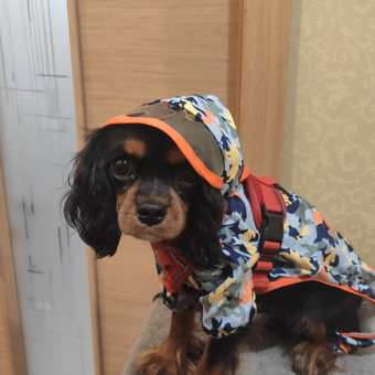 Дождевик для собак Не один дома Фрогги 860120-01CAM3: отзыв пользователя. Зоомагазин Зоозавр