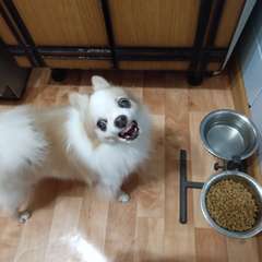 Фото отзыва 11183962