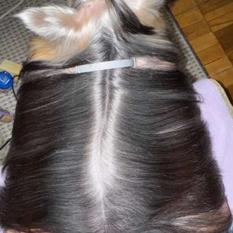 Ошейник для щенков и собак RolfClub3D мелких пород от блох и клещей 40см: отзыв пользователя. Зоомагазин Зоозавр