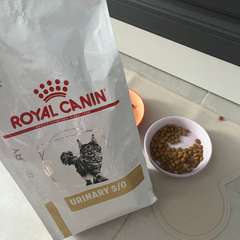 Фото отзыва 10871771