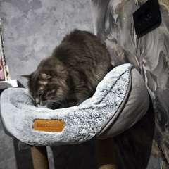 Фото отзыва 11043902