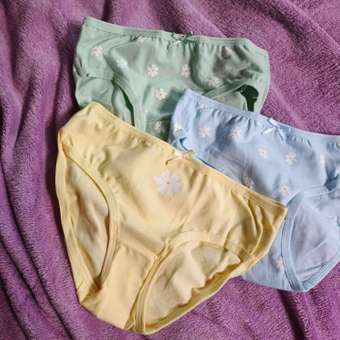 Трусы Day and Night 5 шт: отзыв пользователя Детский Мир