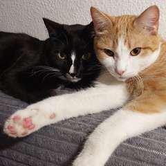 Фото отзыва 10446648