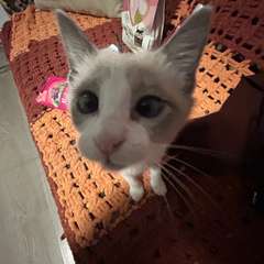 Фото отзыва 10873525