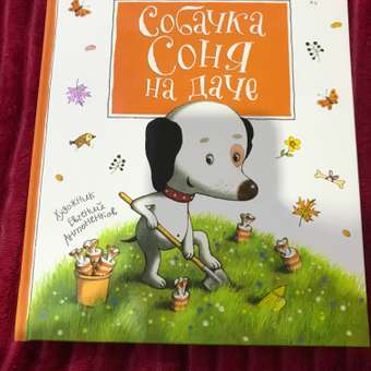 Книга Собачка Соня на даче Усачёв: отзыв пользователя ДетМир