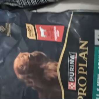 Корм для собак Purina Pro Plan 2.5кг Duo Delice мелких и карликовых пород с высоким содержанием говядины: отзыв пользователя. Зоомагазин Зоозавр