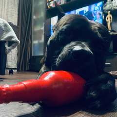 Фото отзыва 11099153