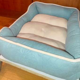 Лежанка для кошек и собак Не один дома Марсель M Темно-зеленый: отзыв пользователя. Зоомагазин Зоозавр