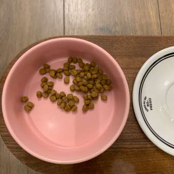 Корм для собак ROYAL CANIN породы чихуахуа 1.5кг: отзыв пользователя. Зоомагазин Зоозавр