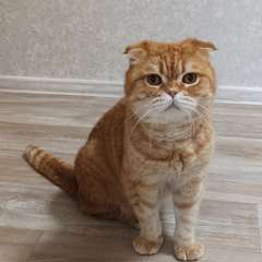 Фото отзыва 10705123