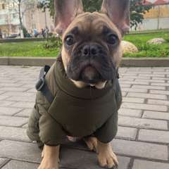 Фото отзыва 10847878