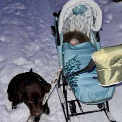 Фото отзыва 6205770