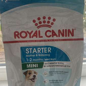 Корм для щенков ROYAL CANIN Starter мелких пород 3кг: отзыв пользователя. Зоомагазин Зоозавр