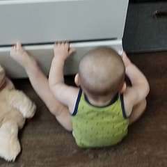 Видео отзыва 10532323