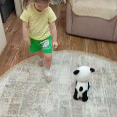 Видео отзыва 11109492