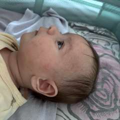 Фото отзыва 11317164