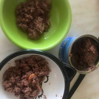Корм для кошек Nutri Plan 160г тунец с крилем в собственном соку: отзыв пользователя. Зоомагазин Зоозавр