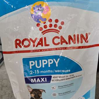 p♡プロフ必読！ 専用 Canin Maxi Puppy PRO Maxi Puppy Dry Dog Food