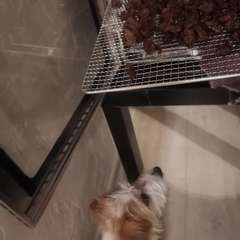 Фото отзыва 10689976