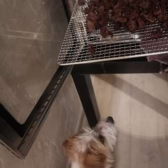 Сушилка для овощей и фруктов KITFORT КТ-1951: отзыв пользователя Детский Мир