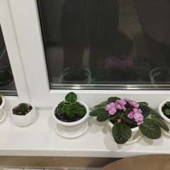 Фото отзыва 5707