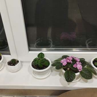 Горшок . 0.6л: отзыв пользователя магазина низких цен ЕЩЁ