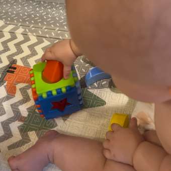 Игрушка Karolina toys сортер: отзыв пользователя ДетМир