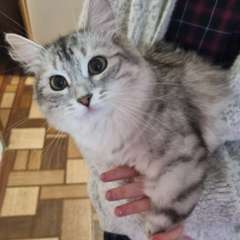 Фото отзыва 10911707