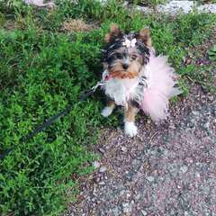 Фото отзыва 9768626