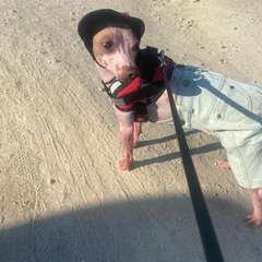 Фото отзыва 9891185