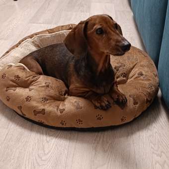 Лежанка для животных Не один дома Релакс пуфик 55*55*32см Коричневый: отзыв пользователя. Зоомагазин Зоозавр