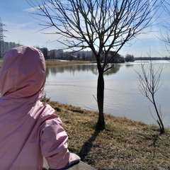 Фото отзыва 6729127