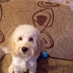 Фото отзыва 11051114