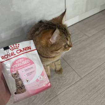 Корм для котят Royal Canin 85г Kitten Sterilised соус для стерилизованных котят пауч: отзыв пользователя. Зоомагазин Зоозавр