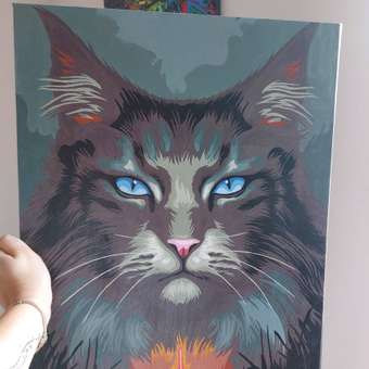 Картина по номерам Hobby Paint Загадочный кот в ассортименте: отзыв пользователя Детский Мир