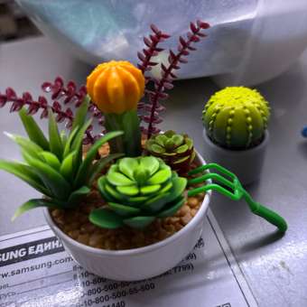 Игровой набор Zuru 5 surprise Botanical Garden: отзыв пользователя ДетМир