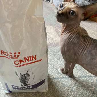 Корм для кошек ROYAL CANIN Neutered Satiety Balance стерилизованных 3.5кг: отзыв пользователя. Зоомагазин Зоозавр