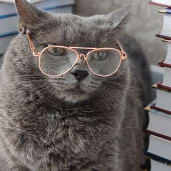 Корм для кошек ROYAL CANIN Veterinary Diet Urinary S/O LP34 Лечение и профилактика МКБ 1.5кг: отзыв пользователя. Зоомагазин Зоозавр