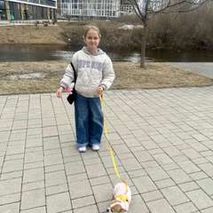 Фото отзыва 11260503