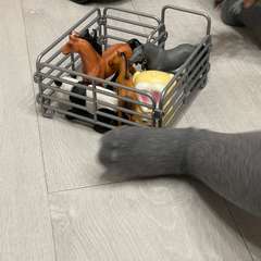 Фото отзыва 10537203