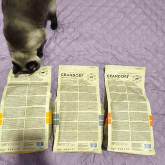 Корм для кошек Grandorf 2кг для стерилизованных индейка: отзыв пользователя. Зоомагазин Зоозавр