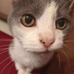 Фото отзыва 10650417