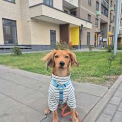 Фото отзыва 10459590