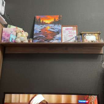 Картина по номерам Hobby Paint Зимний закат в ассортименте: отзыв пользователя Детский Мир