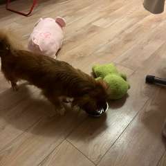 Фото отзыва 10453452