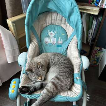 Шезлонг Babyton Blue: отзыв пользователя ДетМир