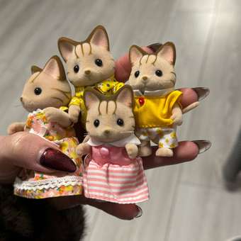 Игровой набор Sylvanian Families Семья Латте котов: отзыв пользователя ДетМир