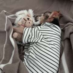 Фото отзыва 11052705