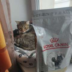 Фото отзыва 10886747